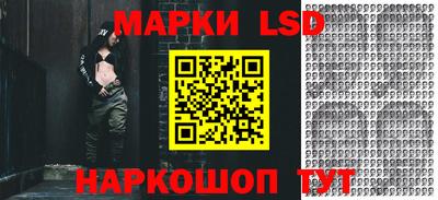 spice Кулебаки